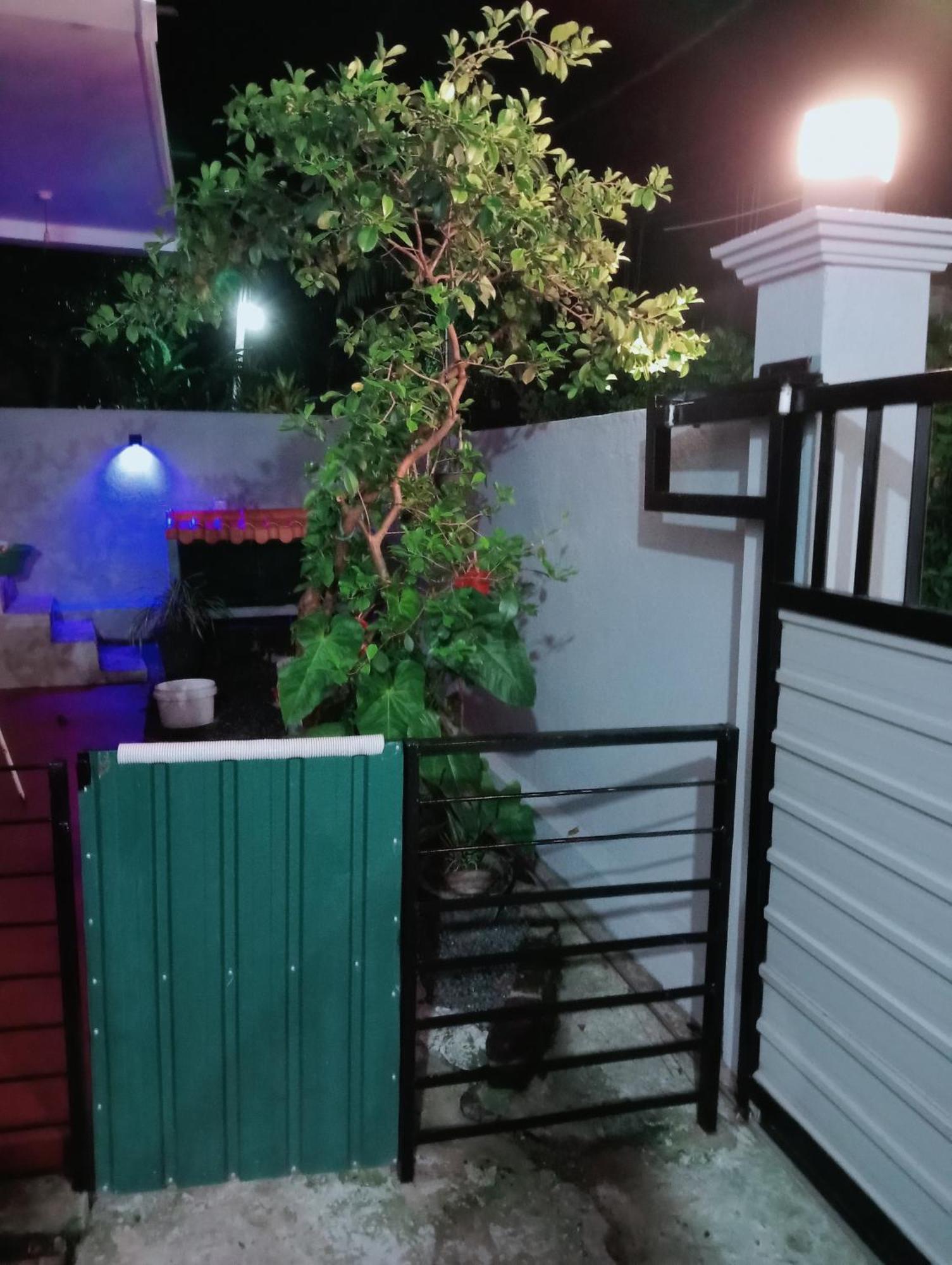 Great Yeheni Villa ヒッカドゥワ エクステリア 写真